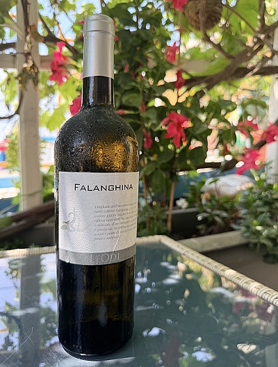 Falanghina – Feudi di San Gregorio