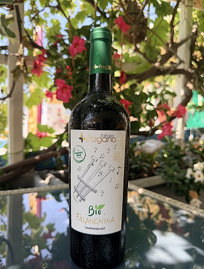 Falanghina Bio – Campania IGT Fattoria Pagano